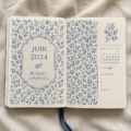 Bullet journal ouvert sur une page de juin 2024 avec des stylos de couleur et des idées créatives
