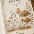 Exemples de dessins de champignons dans un bullet journal