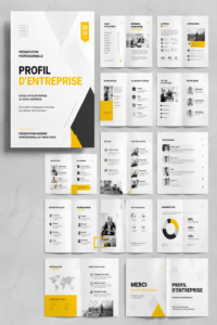 Modèle de profil professionnel avec des sections bien définies.