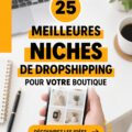 Une belle infographie sur les niches de dropshipping